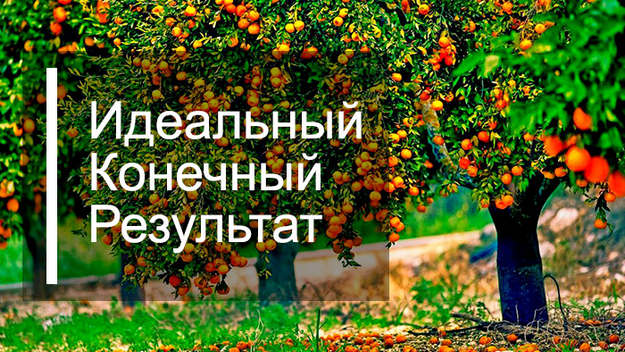 Идеальный Конечный Результат, или как защитить апельсиновый сад от диких обезьян